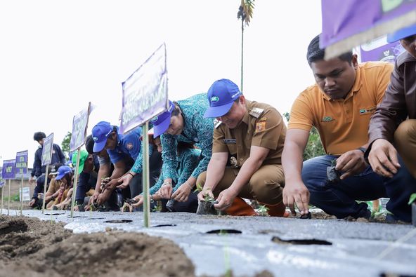 Gerakan tanam perdana cabai dan jagung di lahan pertanian usaha ekonomi produktif karang taruna.(ist)